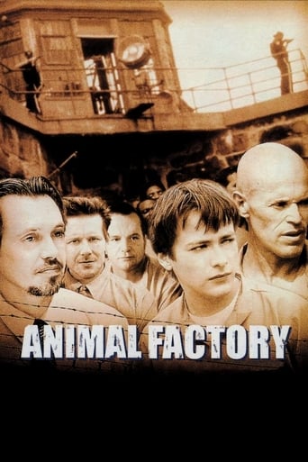 Animal Factory  streaming in alta definizione