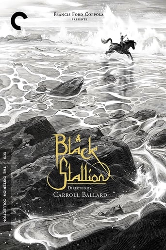 Black Stallion streaming in alta definizione