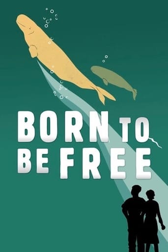 Born to Be Free streaming in alta definizione