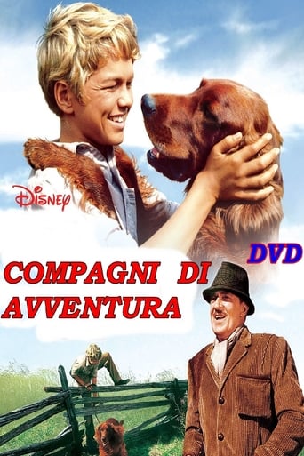 Compagni d'avventura streaming in alta definizione