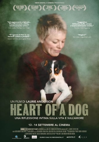 Cuore di un cane streaming film HD poster