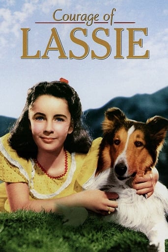 Il coraggio di Lassie streaming in alta definizione