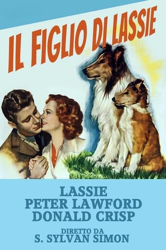 Il figlio di Lassie streaming in alta definizione