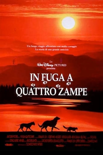 In fuga a quattro zampe streaming in alta definizione