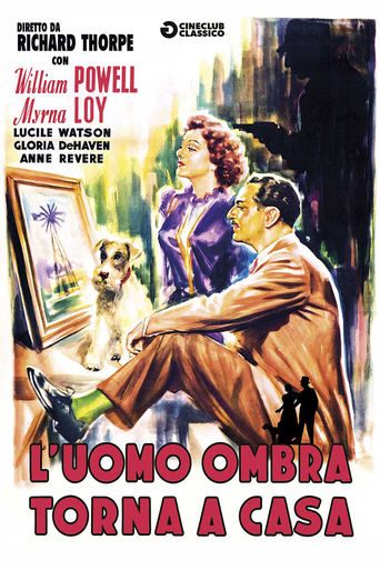 L'uomo ombra torna a casa streaming film HD poster