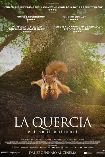 La quercia e i suoi abitanti streaming film HD poster