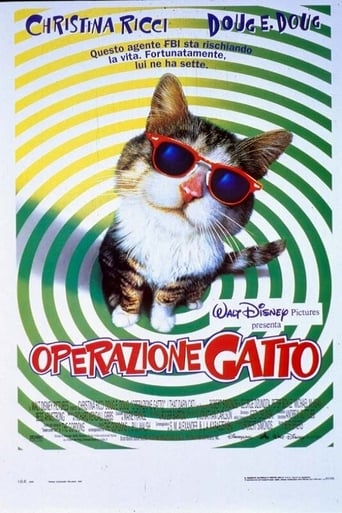 Operazione gatto streaming in alta definizione