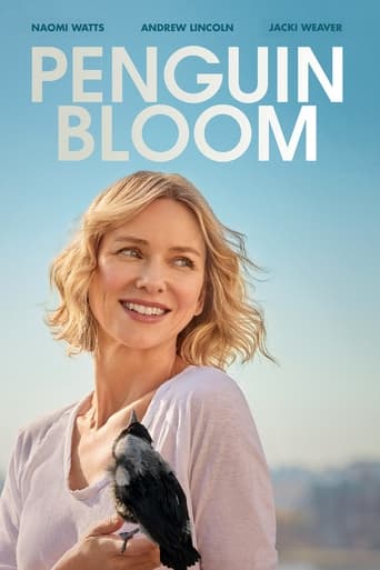 Penguin Bloom streaming film HD poster