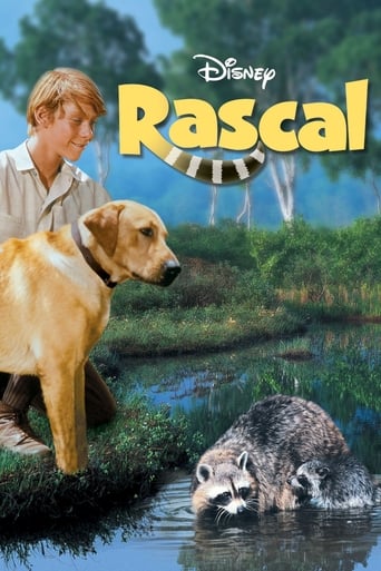 Rascal, l'orsetto lavatore streaming in alta definizione