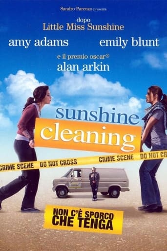 Sunshine Cleaning - Non c’è sporco che tenga streaming in alta definizione