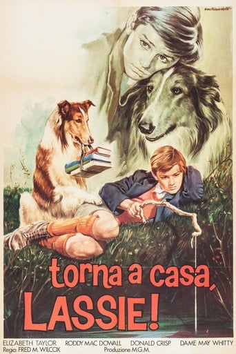 Torna a casa Lassie! streaming in alta definizione